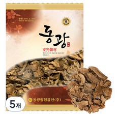 동광한방몰 GAP인증 제천 더 구수한 볶은 돼지감자 차, 100g, 5개