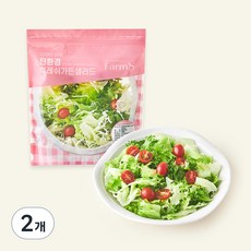 팜에이트 친환경 후레쉬가든샐러드, 500g, 1개, 2개, 500g