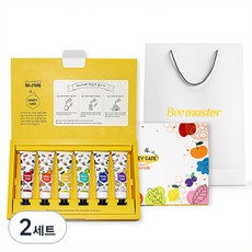 비마스터 허니카페 짜먹는 꿀차 6종 선물세트, 240g, 2세트