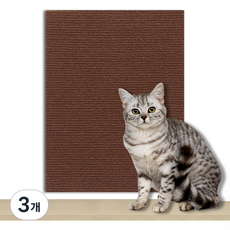 KODACHIEF 고양이 애묘 긁힘 방지 냥냥 앙증 스크래쳐 매트, 69 다크브라운, 3개