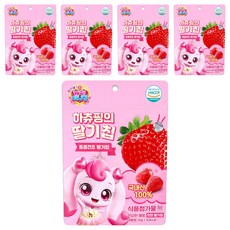 캐치티니핑 유아용 동결건조 하츄핑의 딸기칩, 5개, 12g