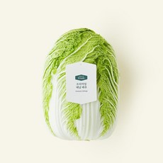 프리미엄 해남 배추, 2kg, 1개입, 1개