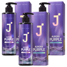 제이숲 컬러제이 오로라 보색 샴푸 퍼플, 380ml, 3개