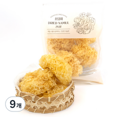 소담히 건조 백목이버섯, 100g, 9개