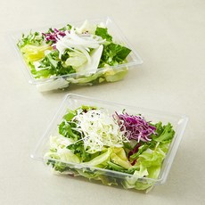 곰곰 캐비지&어니언 콤보팩 샐러드채소, 160g, 2개입, 1세트