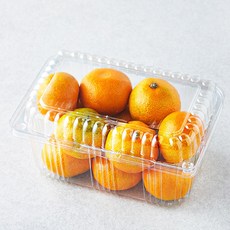 당도선별 10brix 감귤, 800g(소과), 1개