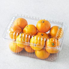 곰곰 당도선별 10brix 감귤, 800g(꼬마과), 1팩