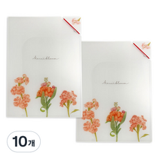 랑캣몰 메르시블룸 투포켓 파일, Prunus, 10개