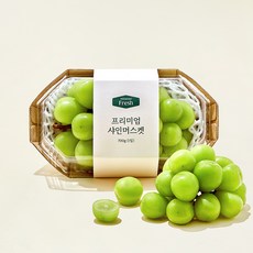 프리미엄 샤인머스켓, 700g, 1개