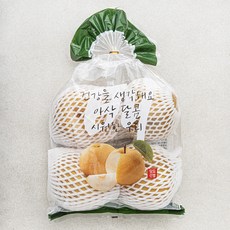 원농산 당도선별 배 3~4입, 2kg, 1개