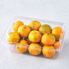 당도선별 11brix 감귤, 1.2kg(꼬마과), 1개