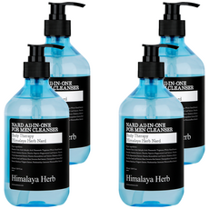 나드 올인원 남성청결제, 500ml, 4개