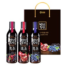 백년동안 2020 현미발효 흑초 900ml x 3p 세트 1호, 1세트, 2.7L