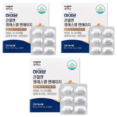 일동후디스 하이뮨 관절엔 엠에스엠 엔에이지 66g, 60정, 3개