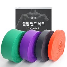 심플리핏 풀업 밴드 단계 2 + 3 + 4 + 5 세트, 레드, 블랙, 퍼플, 그린, 1개