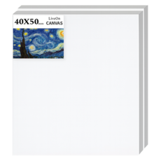 고탄성 면천 유화 아크릴 겸용 프리미엄 캔버스 40 x 50 cm, 2개, 10호