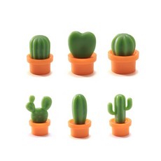 블루선 선인장 냉장고 자석 6종 세트, 주황색