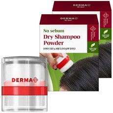 아케이 더마 노세범 헤어 드라이샴푸 파우더 프루츠향, 4g, 2개