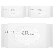 Saengong 生活工作所 免治馬桶濕紙巾 掀蓋型, 60張, 3套