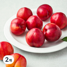 대석 왕자두 10입, 800g, 2개