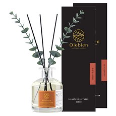 올레비엔 프리미엄 퍼퓸 디퓨저 실내용, 블랙체리, 250ml, 2개