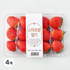 스마트팜 설향 딸기, 4개, 500g