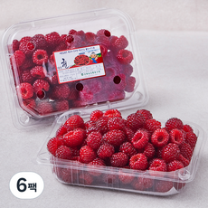 상동농업협동조합 대포천 김해 산딸기, 250g, 6팩