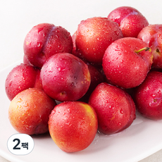 가족 GAP 인증 의성 대석 자두, 1.2kg, 2팩