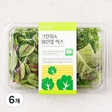팜에이트 무농약 인증 크런치 & 어린잎 믹스, 100g, 1개입, 6개