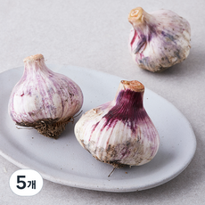 국내산 통마늘 3개입, 5개
