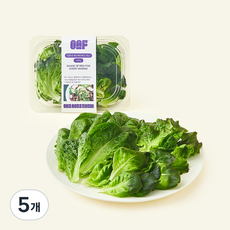 원에이커팜 무농약 인증 레드 버터헤드 믹스, 100g, 5개, 1개입