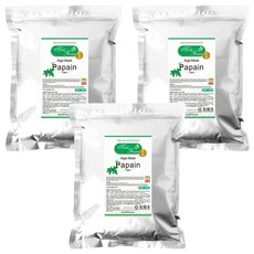 메디플라워 모델링 팩 파파인효소 1000g, 1개입, 3개