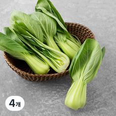 국내산 청경채, 300g, 4개