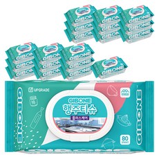 기본에 행주티슈 플러스케어 캡형, 80개, 20개