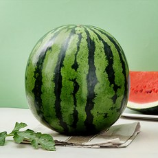 당도선별 11brix 수박, 9kg이상, 1개