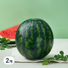 당도선별 11brix 수박, 4kg이상, 2개