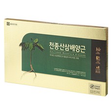 종근당건강 천종산삼배양근 + 쇼핑백, 600ml, 1개
