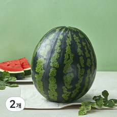 당도선별 11brix 수박, 5kg이상, 2개