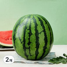 당도선별 11brix 수박, 7kg이상, 2개