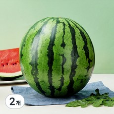 당도선별 11brix 수박, 8kg이상, 2개