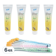 애터미 칫솔 8p + 치약 50g x 4p, 6세트