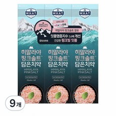 히말라야핑크솔트 담은 아이스 카밍 민트 치약, 100g, 9개