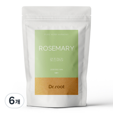 닥터루트 로즈마리 삼각티백, 1.2g, 25개입, 6개