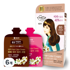 자연으로 비파 헤어 칼라 크림, B3 자연갈색, 120ml, 6개