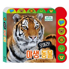 野生動物大集合, Applebee 有聲書/有聲書系列、有聲觸覺寫真書系列, Applebee