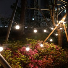 21C Trend 20球太陽能充電式燈串 10m, 白色(燈泡)