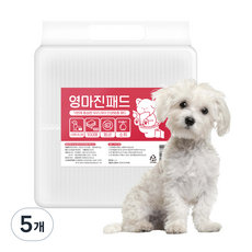 영마진 강아지 배변패드 스탠다드, 5개, 100개입