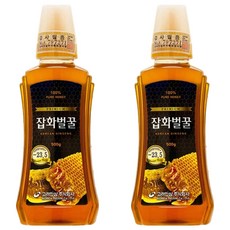 고려인삼 잡화벌꿀, 500g, 2개