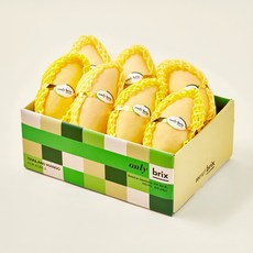 골드망고, 2.5kg, 1개