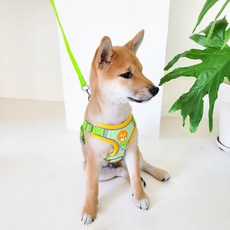 펫코노미 강아지 스웨이드 하네스 세트, 연두, 1개